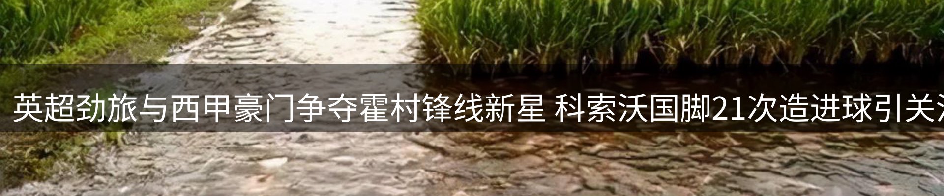 资讯中心
